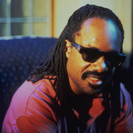 Biography Specials: Stevie Wonder